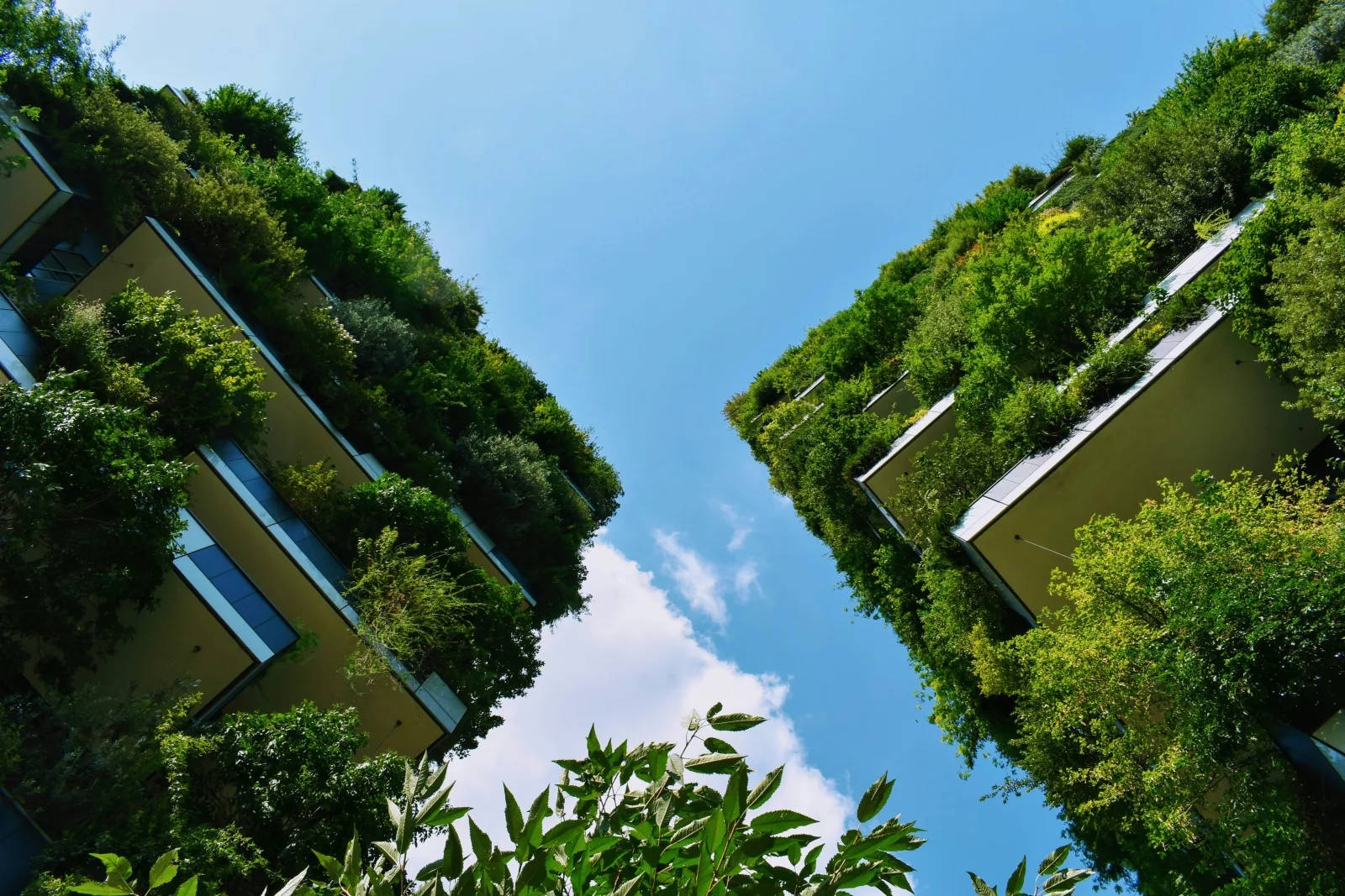 Groene, met planten begroeide gebouwen tegen een blauwe lucht als beeld voor duurzaam ondernemen en een sterke EcoVadis-score